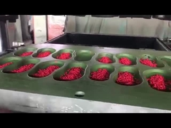 Materiale EVA di alta qualità Produrre scarpe con pellet di granuli colorati